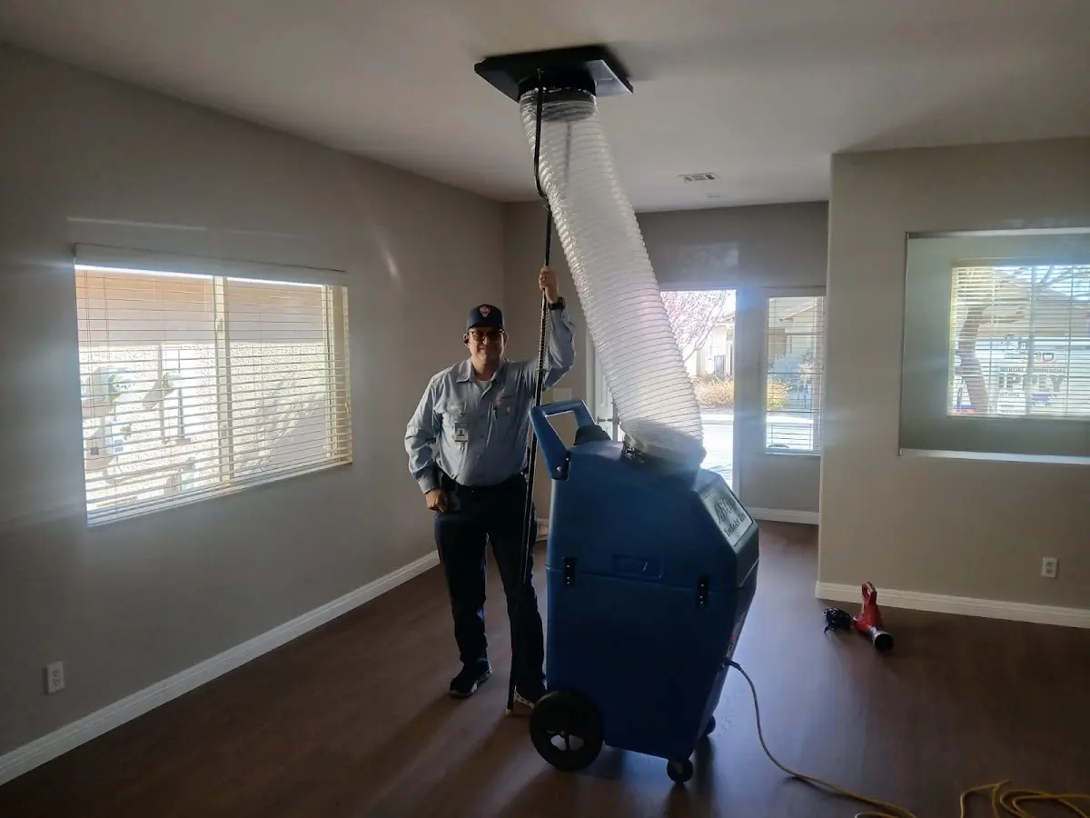Professional Dryer Vent Cleaning work inside a Morgan City home